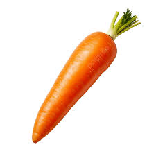 carrot
